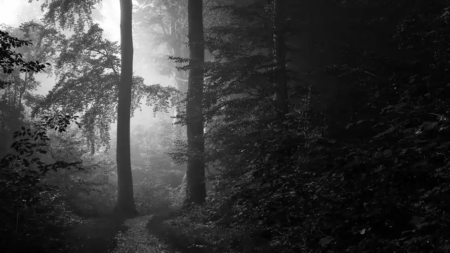 冷色调唯美意境风景桌面壁纸