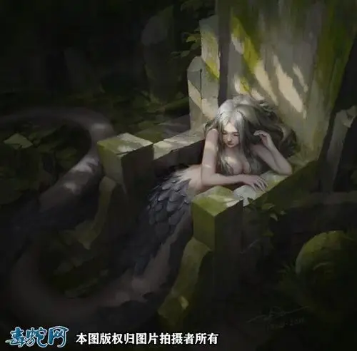 蛇女图片,惊艳的蛇女图片大全欣赏_蛇的图片_毒蛇网