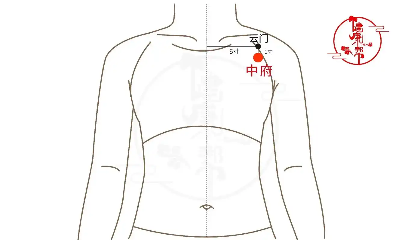 这是手太阴肺经的十一个穴位,主要调理咳嗽气喘,具体位置调理什 - 抖