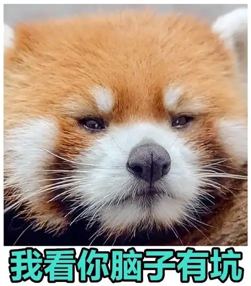 小动物表情包来袭~评|论|区 收好了~#表情包 #美图分享  - 抖音