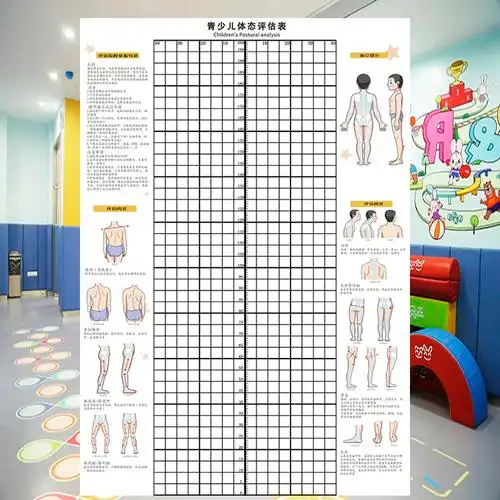 青少儿体态评估表儿童体适能形体检测图童模舞蹈礼仪培训体测表