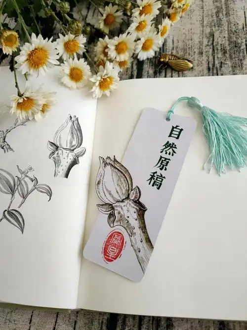 临摹自然原稿制作书签过程图