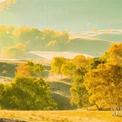 秋天的风景头像唯美的秋天色彩图片