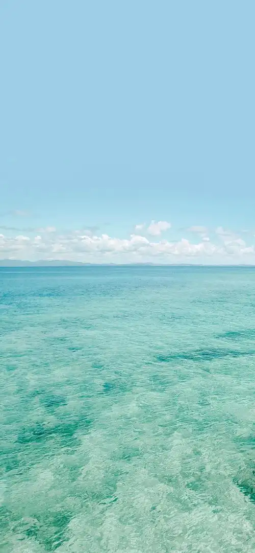 壁纸两张 - 华为nova5i/nova5i pro分享交流 花粉俱乐部