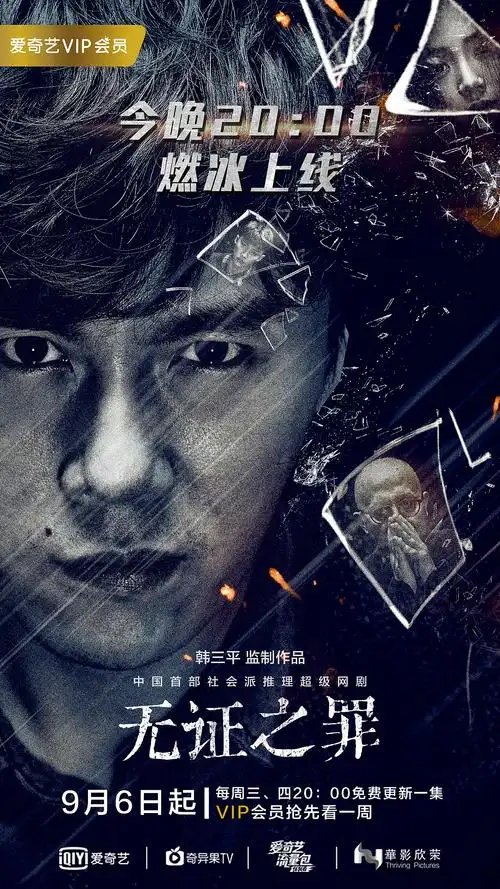电视剧无证之罪部分海报