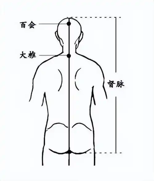 按摩手法背部图解法,自己按摩手法大全背部图解法(教你如何正确捶背)