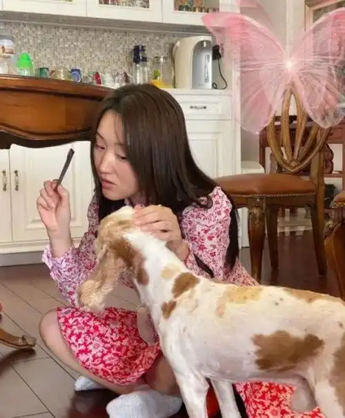 52岁杨钰莹在自家院摘辣椒村姑打扮难掩绝美气质不结婚真可惜