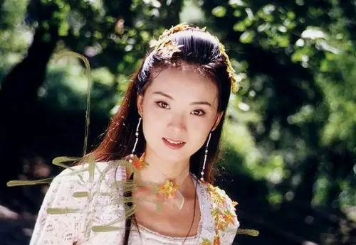 武林外史:白飞飞