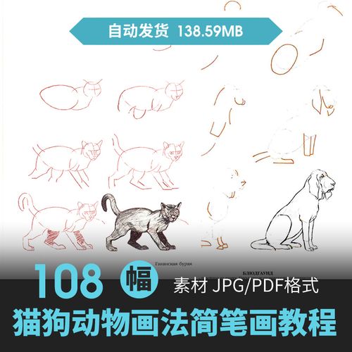 手绘动物画法简笔画基础教程生物动态结构绘画线稿素描参考素材