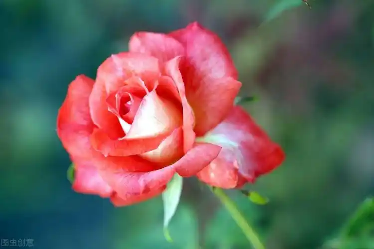 个性签名唯美唯美精致的朋友圈短句子