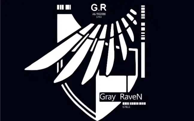 网络天才能猜到灰鸦小队的三位成员吗?