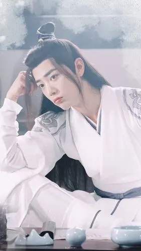 白衣少年魏无羡