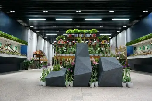 让精致园艺扮靓美丽家园——新优植物展示区点亮家庭园艺梦