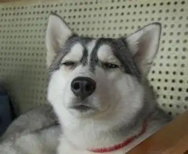 协信阿卡迪亚江山凌云5期j1户型户型设计户型解析