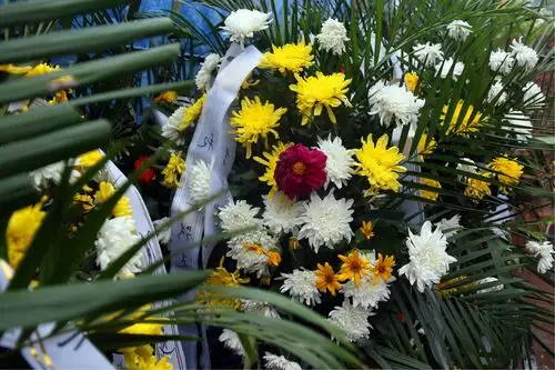 父亲大人一路走好