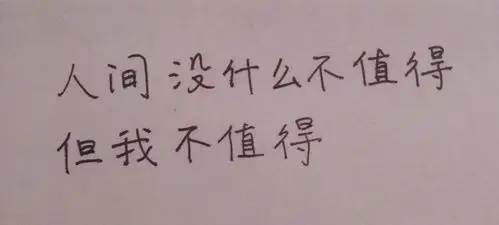 人间没什么不值得,但我不值得.