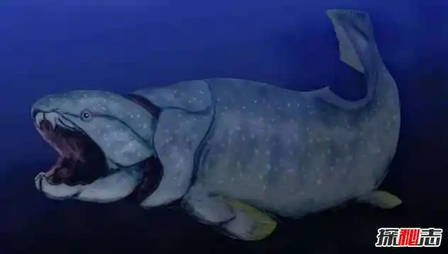 远古海洋霸主邓氏鱼的十大真相