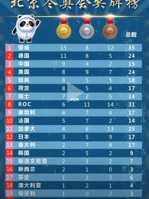 北京冬奥会奖牌榜