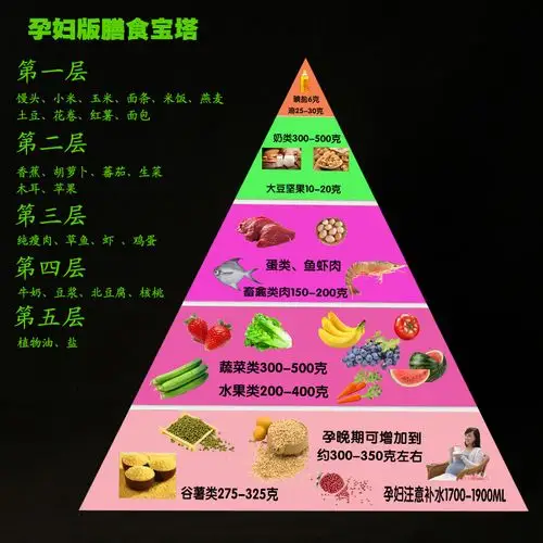 膳食宝塔教学模型中国居民平衡饮食金字塔仿真营养食物交换份模型