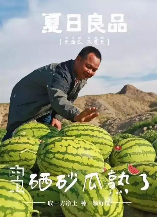 宁夏硒砂瓜熟啦【河间信誉楼水果柜组为您特别推荐——信誉楼沧州区域