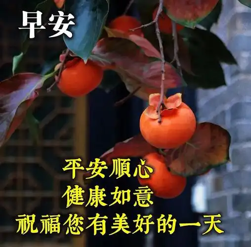 7月29日最新漂亮的早上好问候语表情包动态图片,新的一天早上好快乐的