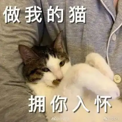 想要更多表情包的,后台回复:****表情包搬运大使最佳损友:告诉我哪家