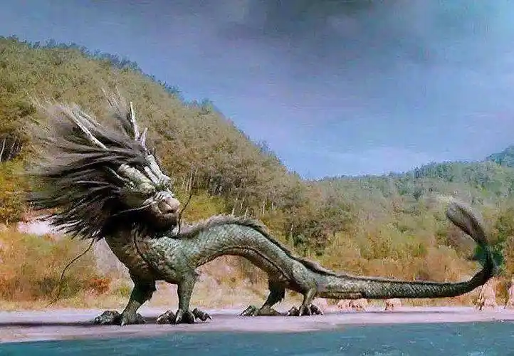 世上真的有龙吗日本保存中国龙标本日本专家龙可能