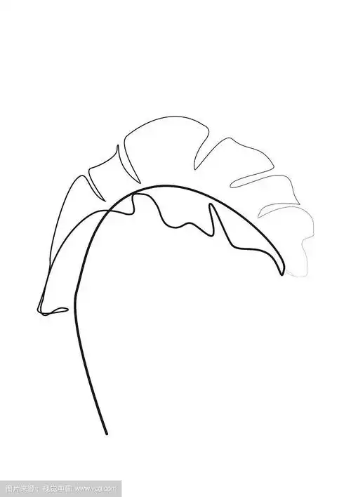 一条线画等高线画芭蕉叶