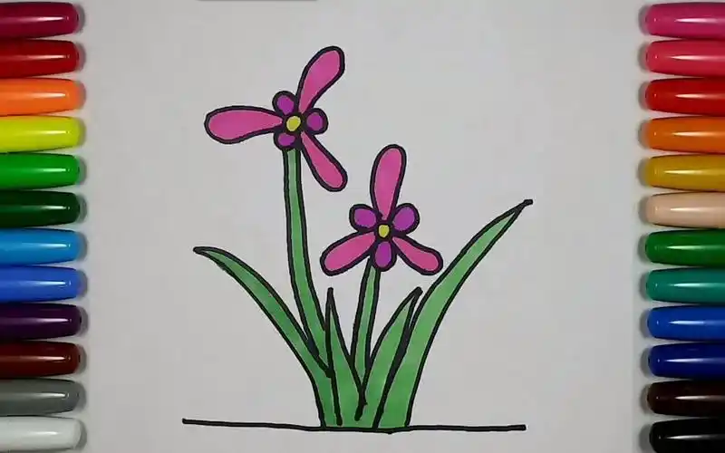 儿童简笔画 - 兰花 每天一幅简笔画57 零基础学画画 painting and