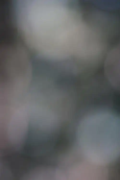 虚化背景素材 (317)图片