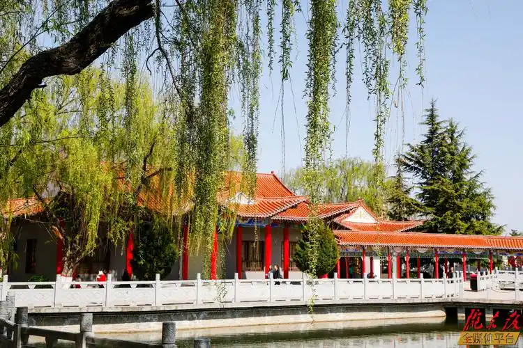 东湖公园春拂柳