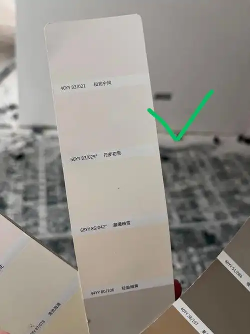 多乐士冷门色号奶油风进来看看