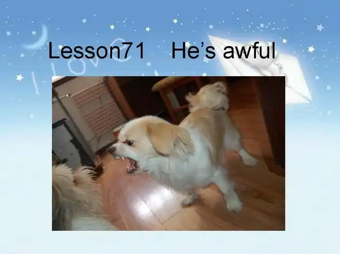 新感念第一册lesson71 hes awfulppt