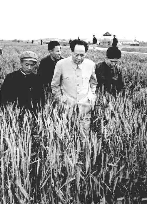 毛岸青邵华合著毛新宇夫妇整理我们的父亲毛泽东再现伟人风雨岁月组图