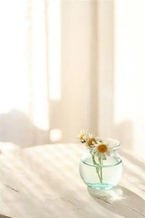 昨晚凌晨还没睡的人心中都有一种生活的仪式感