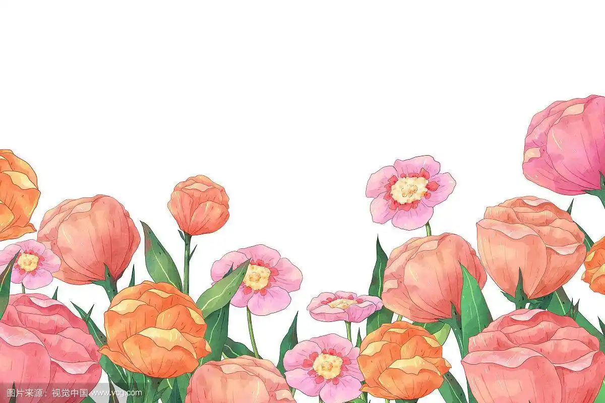 清新花朵背景插画白底
