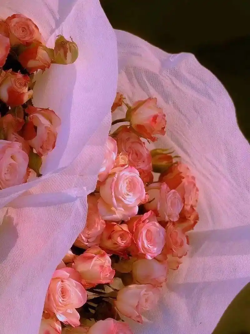 微信 | qq背景图 壁纸 关于949898 请成为永远疯狂永远浪漫永远