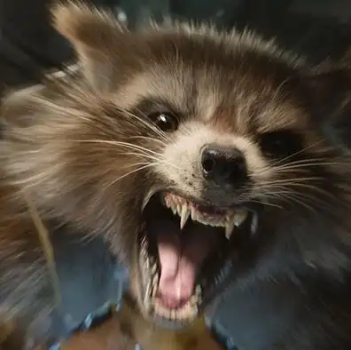 银河护卫队干脆面君表情包