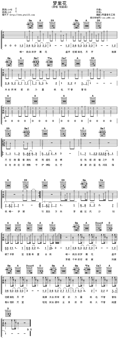 梦里花 歌谱简谱网