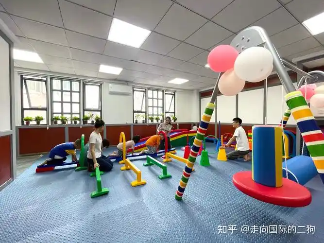 构音障碍,社交障碍,注意力缺陷,口吃等问题的儿童进行专项训练