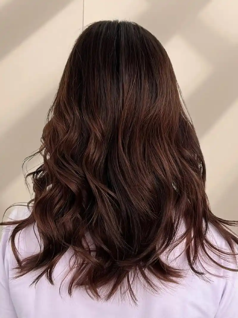 栗子棕色是秋天的必备发色,融合了栗子的深邃和棕色的