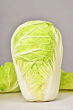 大白菜