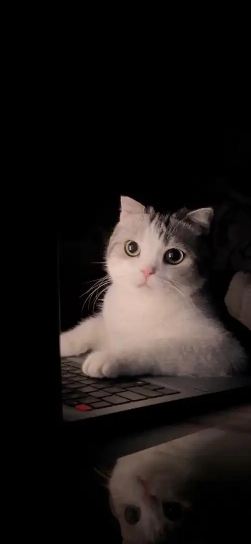 pos … - 堆糖,美图壁纸兴趣社区