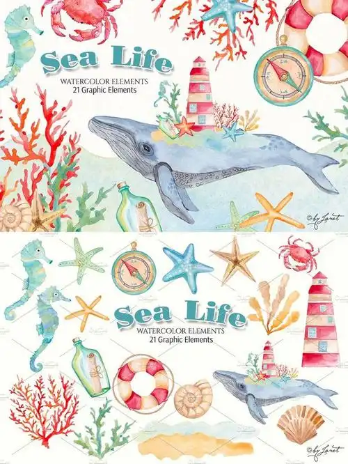 21个手绘水彩海洋生物png免抠素材