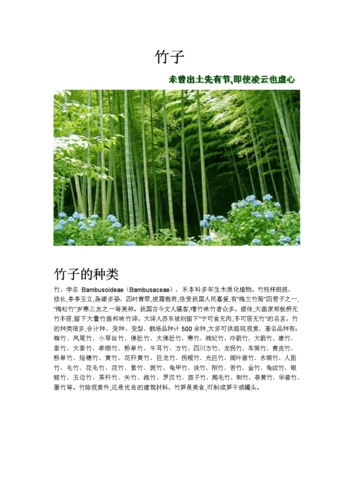 高风亮节的竹子.doc