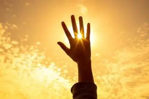 王树民:透过指缝的阳光