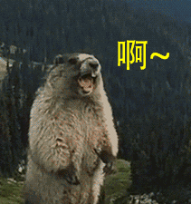 211_225gif 动态图 动图