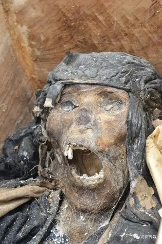 通常情况下,人体死亡之后,体内细胞会开始其自溶过程,细胞中的溶解酶