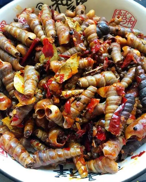 糖572196做的爆炒钉螺 赞 钉螺,葱切成段,蒜瓣,姜,香叶,花椒,小干辣椒
