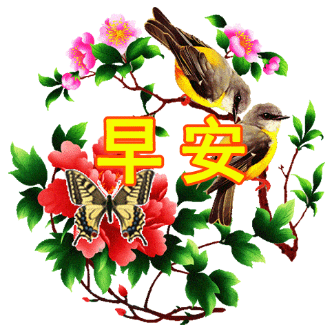 微信最新早上好问候语动态图片表情最美早上好问候祝福动态表情图片